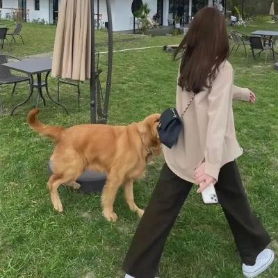 玉氏夫人传