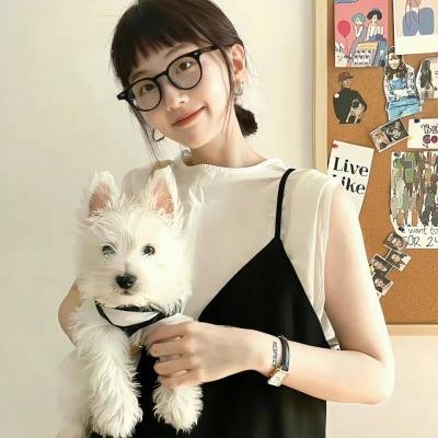 爱的迫降